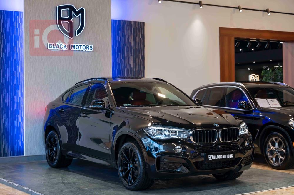 BMW X6